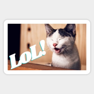 Kitty LoL Sticker